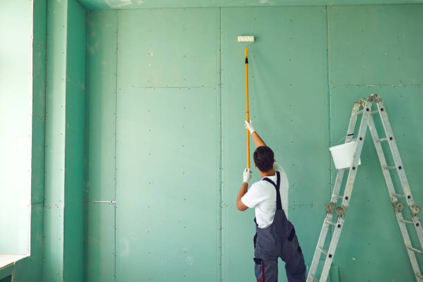 Best Mold Damage Restoration  in Athens, TX