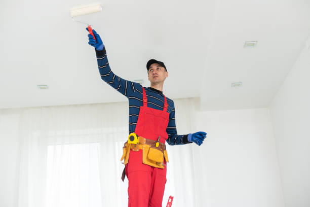 Trusted Athens, TX Mold Removal Experts