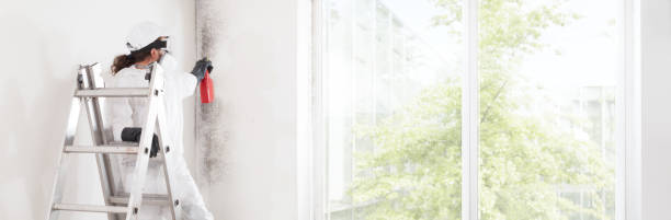 Best Biohazard Mold Removal  in Athens, TX