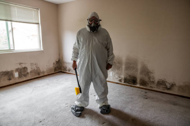 Best Basement Mold Removal  in Athens, TX
