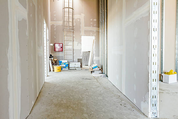 Best Black Mold Removal  in Athens, TX