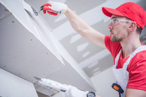Best Mold Removal for HVAC Installations  in Athens, TX